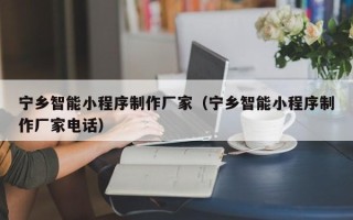 娄底宁乡智能小程序制作厂家（宁乡智能小程序制作厂家电话）