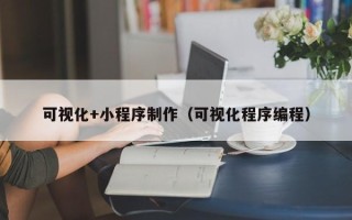 娄底可视化+小程序制作（可视化程序编程）